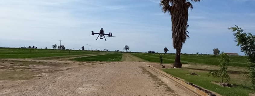 Primers vols amb dron per a la presa d'imatges multiespectrals al projecte Rice FertiSAT