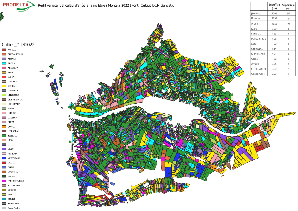 Perfil varietal del cultiu d'arròs al Baix Ebre i Montsià 20233 (font: Cultius DUN Gencat).